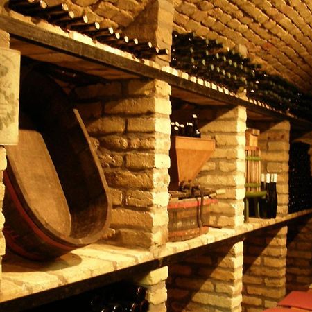 فندق Borbaratok Panzio باداتشونيتوماي المظهر الخارجي الصورة